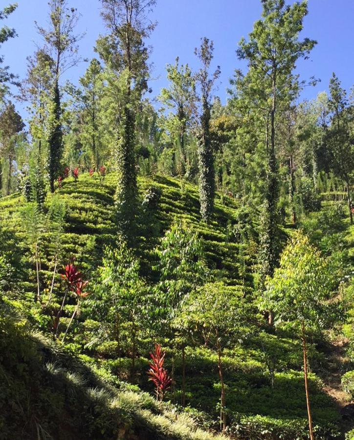 茶屋水疗度假村 纳沃勒皮蒂耶 外观 照片