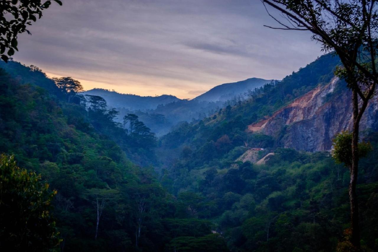 茶屋水疗度假村 纳沃勒皮蒂耶 外观 照片