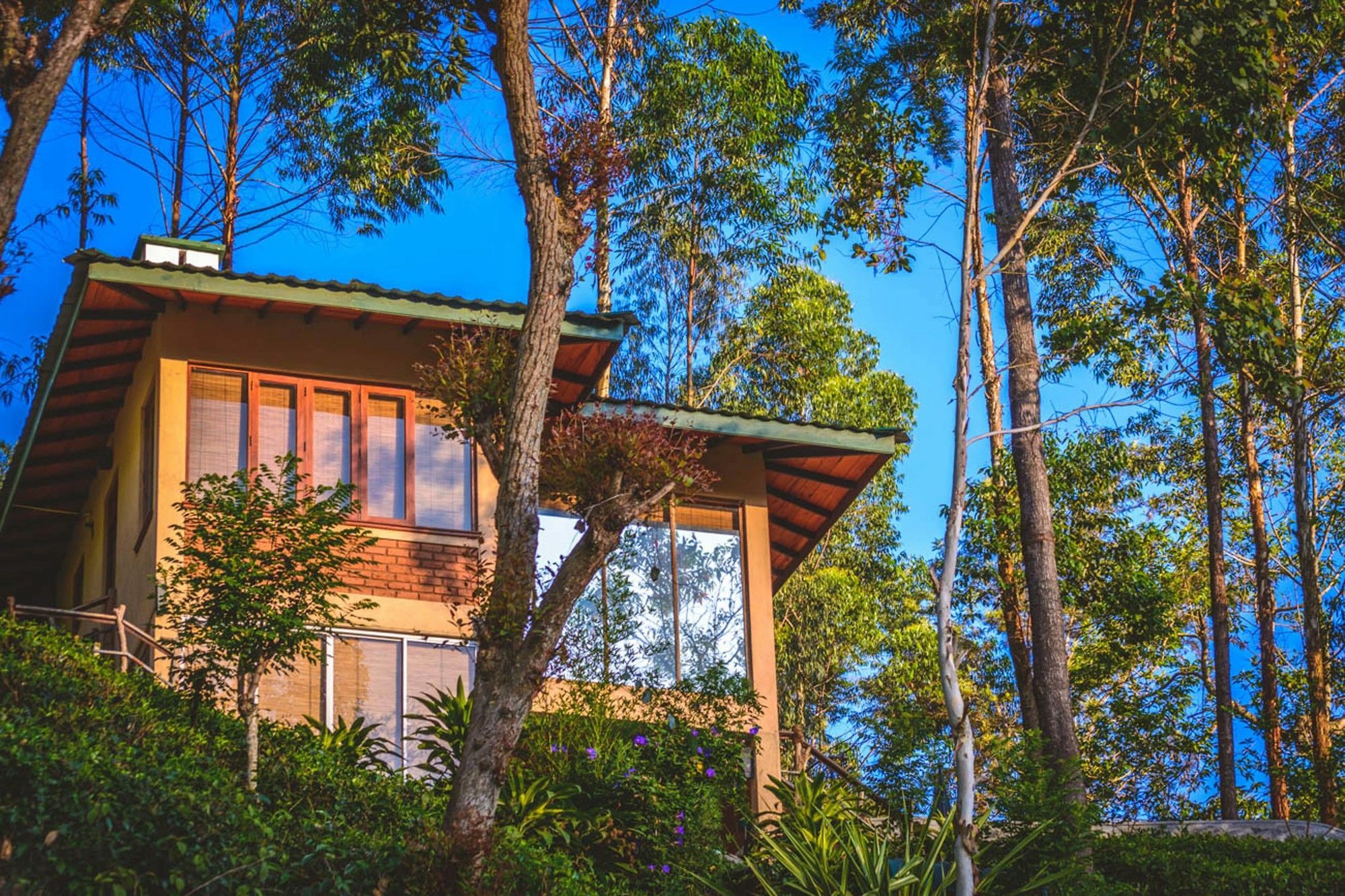 茶屋水疗度假村 纳沃勒皮蒂耶 外观 照片