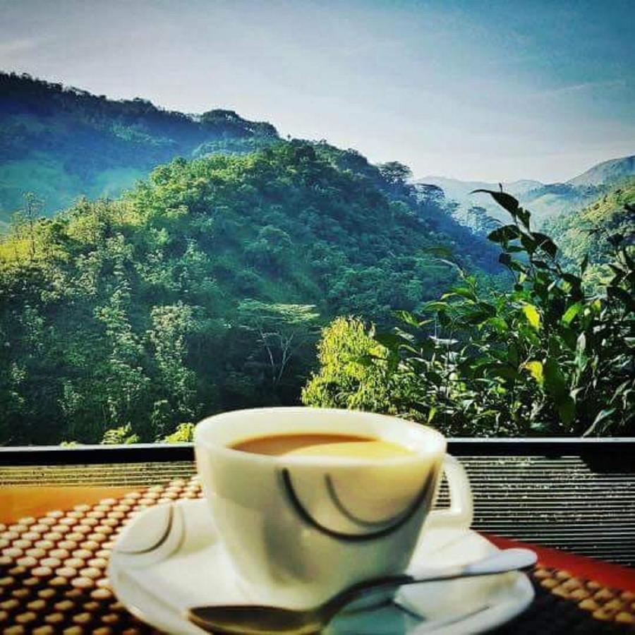 茶屋水疗度假村 纳沃勒皮蒂耶 外观 照片