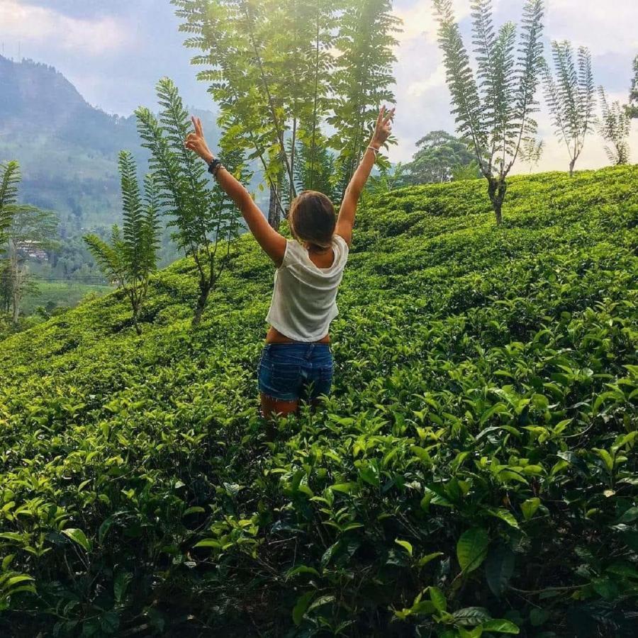 茶屋水疗度假村 纳沃勒皮蒂耶 外观 照片